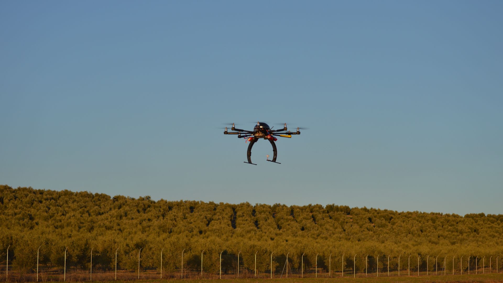 Sembrando datos, cosechando innovación. La transformación digital del olivar