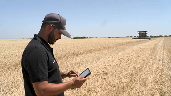 MASUR Agro y Grupo Gallo colaboran en un proyecto de agricultura con inteligencia artificial para mejorar la producción de cereales